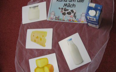 Wissenswertes über Milch und Milchprodukte in der Igelgruppe