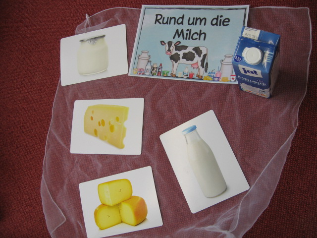 Wissenswertes über Milch und Milchprodukte in der Igelgruppe