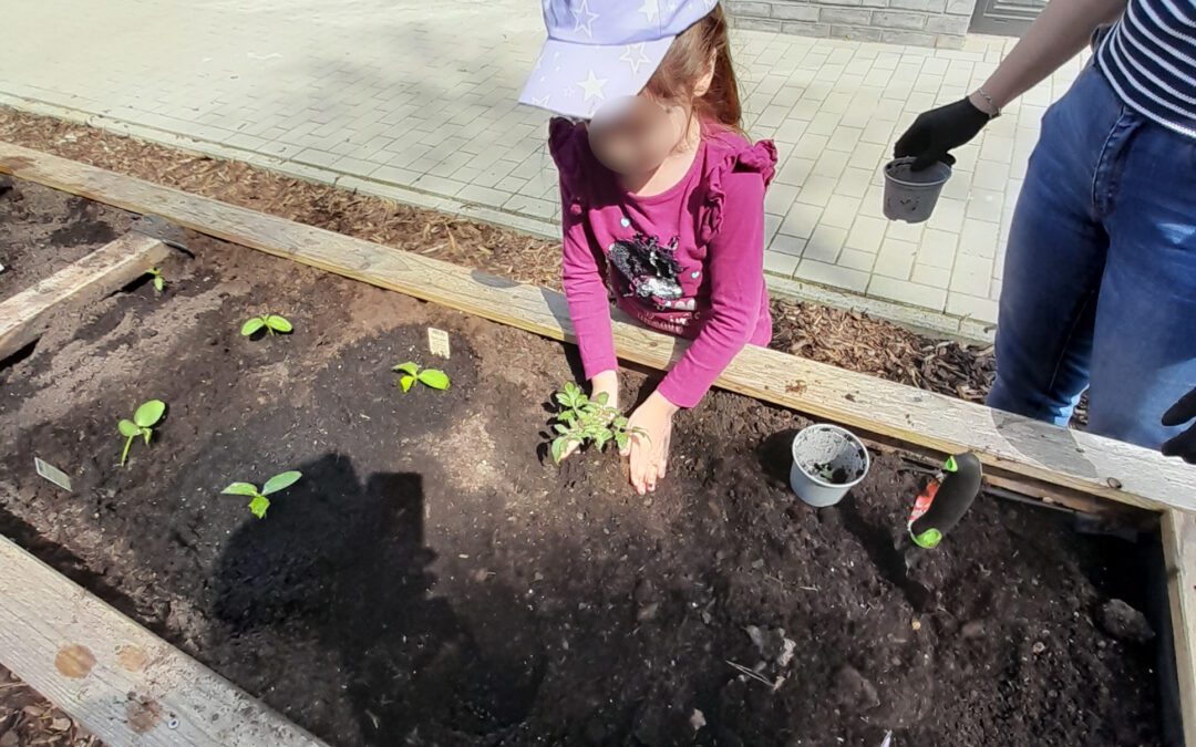 Pflanzaktion im Rahmen der Natur- und Umweltwochen