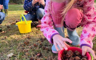 Mit Naturmaterialien in den Herbst