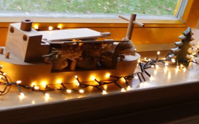 Nikolausbesuch in der Kita Trinitatis