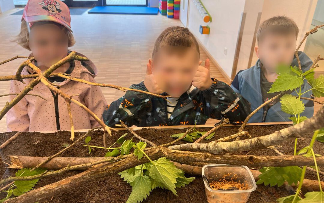 Insektenprojekt in der Kita Arche Kunterbunt
