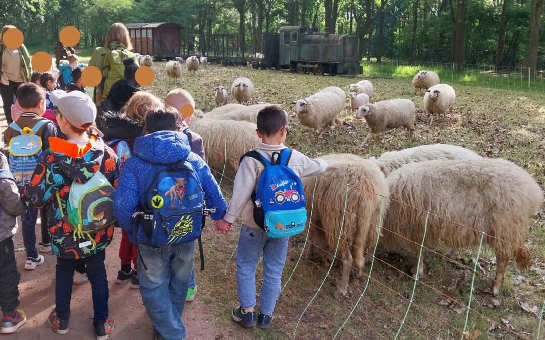 Die KiTa Arche Noah auf Entdeckungstour