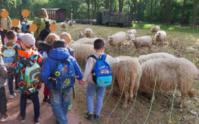 Die KiTa Arche Noah auf Entdeckungstour