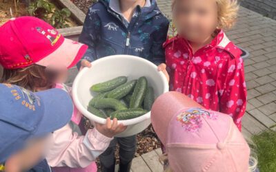 Grüne Daumen und große Freude in der Kita Arche Kunterbunt!