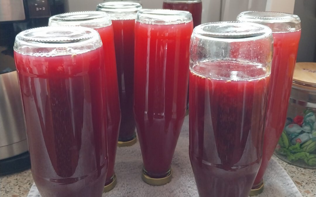 Die Kinder machen ihren eigenen Traubensaft