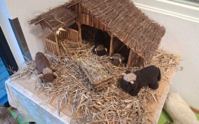 Neue (alte) Krippe in der Kita Arche Kunterbunt