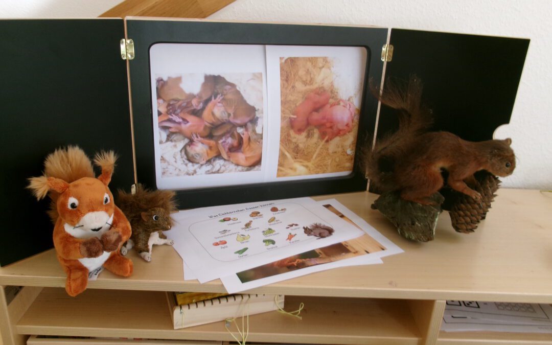 Eichhörnchen-Entdeckung in der Arche Kunterbunt