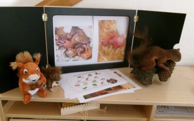 Eichhörnchen-Entdeckung in der Arche Kunterbunt